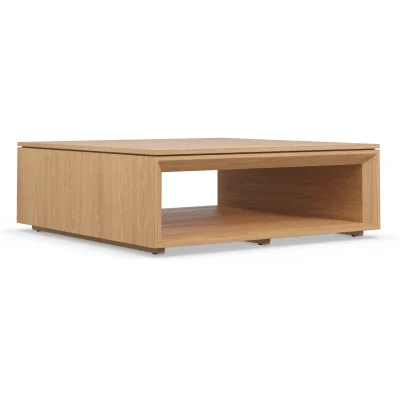 Low Profile Coffee Table with spacious open storage