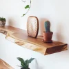 Natural Live Edge Floating Shelf mounted on a white wall decorated with plants ornaments